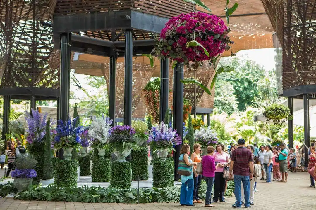 Orchid Exhibition at the Botanical Garden